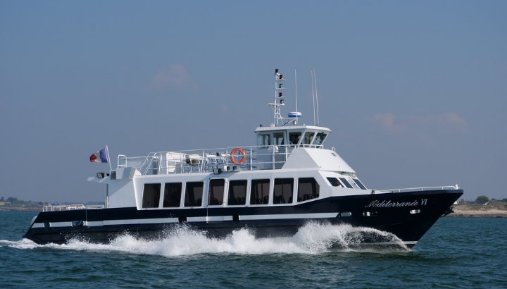 Croisière dauphin et oiseaux marins payante en partenariat avec Faune Océan